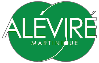 SALON DU RETOUR | ALEVIRE