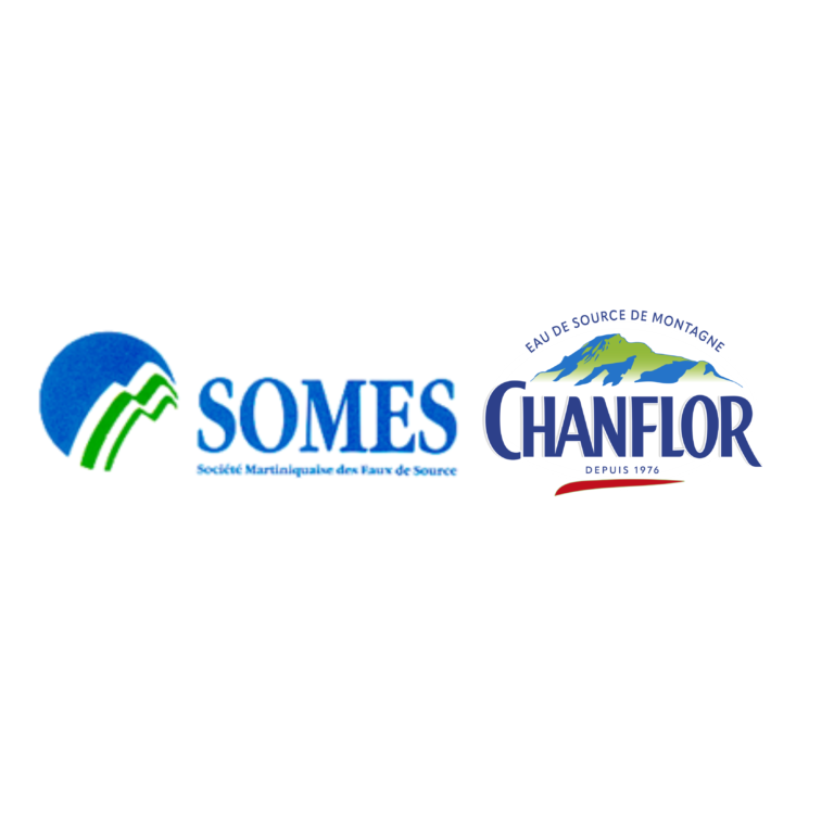 SOMES